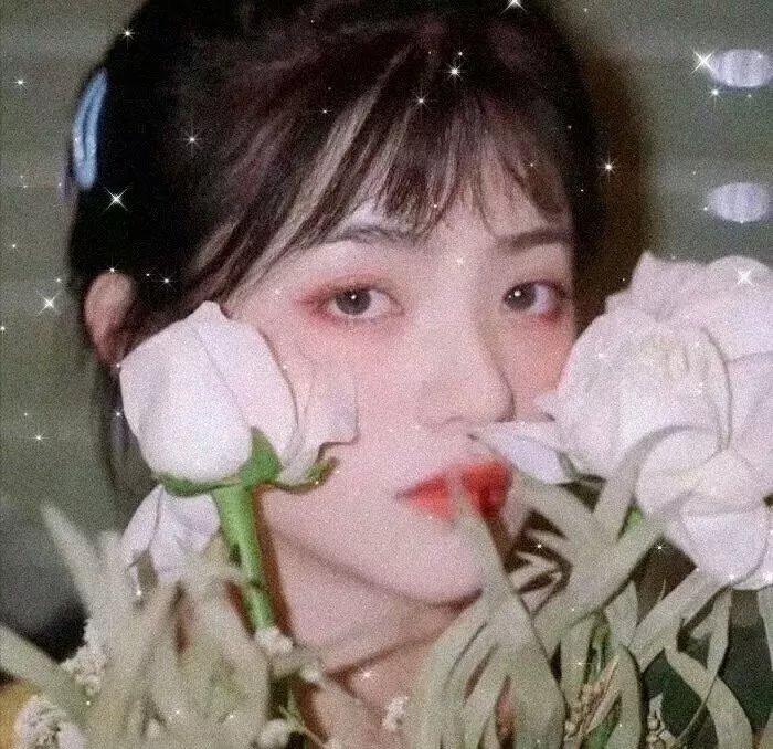 牢笼的熊
